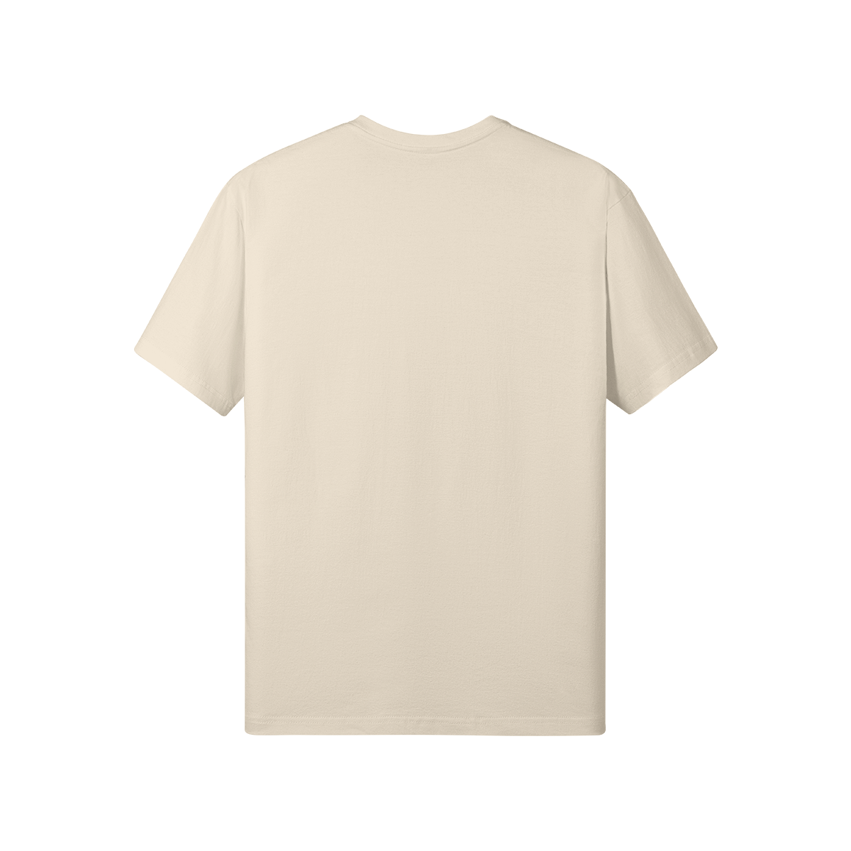0-Y87-Back Side